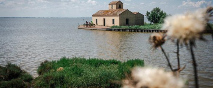 Ferrara, Comacchio & Po Delta auf der Reisemesse F.RE.E in München (Konferenz | München)