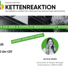 Kettenreaktion Webinar: CSRD Check – ESRS und doppelte Wesentlichkeit (Webinar | Online)