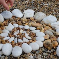 Search Inside Yourself – Achtsamkeit & Emotionale Intelligenz (Webinar | Online) Search Inside Yourself – Achtsamkeit & Emotionale Intelligenz (Webinar | Online)