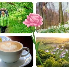 Frauentags-Event im WaldResort – Auf der Suche nach dem ersten Frühlingsgrün…“ (Unterhaltung / Freizeit | Weberstedt)