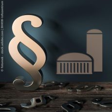 Be flexible – Neuer Rechtsrahmen für Biomasseanlagen (Webinar | Online) Be flexible – Neuer Rechtsrahmen für Biomasseanlagen (Webinar | Online)