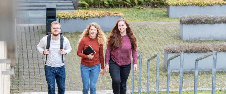 Öffentliche Präsentation von Bachelorarbeiten im Studiengang „Ergotherapie,Logopädie,Physiotherapie“ (Vortrag | Osnabrück)