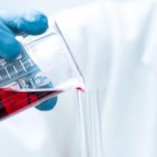 Webinar: IFS Beauftragter & Interner Auditor (Webinar | Online)