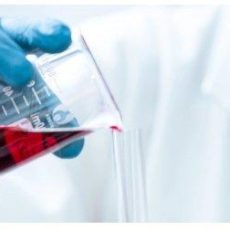 Schulung IFS Beauftragter & Interner Auditor (Seminar | Stuttgart)