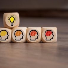 Agiles Projektmanagement: Praxisnahe Methoden und effektives Arbeiten (Seminar | Online)