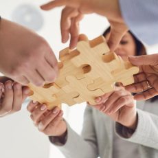 Scrum Wissen (Seminar | Online)