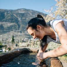 IKAT (Kongress | Algund)