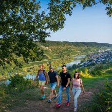 Wein & Wandern „Rund um die Marienburg“ in Reil (Unterhaltung / Freizeit | Reil)