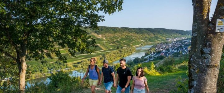 Wein & Wandern „Rund um die Marienburg“ in Reil (Unterhaltung / Freizeit | Reil)