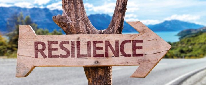 RESILIENZ – Das „Nur da sein “- Retreat (Seminar | Moor-Rolofshagen)