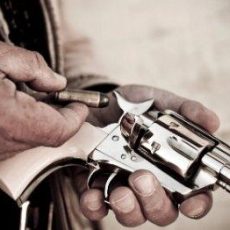 Grundlagen des Waffenrechts (Seminar | Kehl)