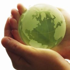 KI und Arbeit und Zusammenarbeit: Erfolgsfaktor Innovative Führungskultur (Seminar | Online)