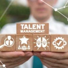 Nachhaltiges Organisationsmanagement (Webinar | Online)