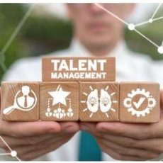 Nachhaltiges Organisationsmanagement (Seminar | Kehl)