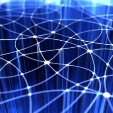 Digitalisierung in der öffentlichen Verwaltung (Seminar | Kehl)
