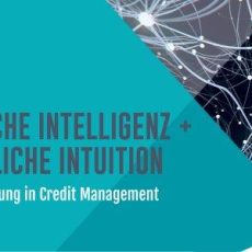 Künstliche Intelligenz + menschliche Intuition:Die ideale Mischung in Credit Management und Cash App (Webinar | Online)