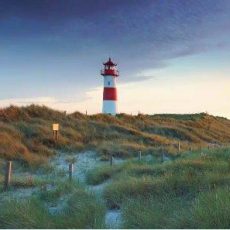 Vertiefungskurs Wirtschaftsmediation auf Sylt – Sommer 2025 (Workshop | Sylt) Vertiefungskurs Wirtschaftsmediation auf Sylt – Sommer 2025 (Workshop | Sylt)