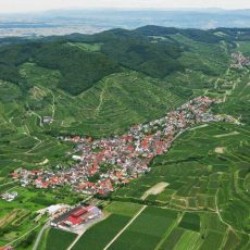 Ostermontagshock (Unterhaltung / Freizeit | Vogtsburg im Kaiserstuhl)