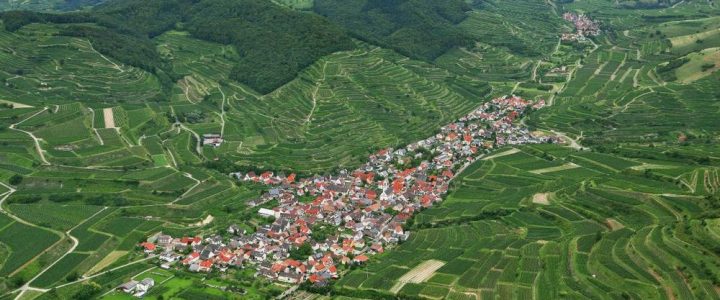 Ostermontagshock (Unterhaltung / Freizeit | Vogtsburg im Kaiserstuhl)