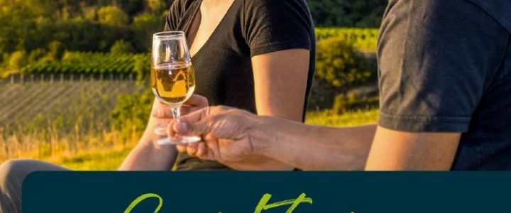 Gipfeltreffen Kaiserstühler und Tuniberger Jungweine (Unterhaltung / Freizeit | Gottenheim)