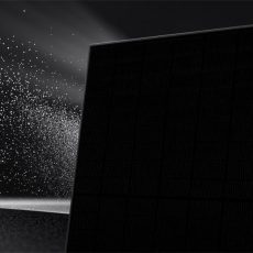 Webinar Intersolar 2025 (Webinar | Online)
