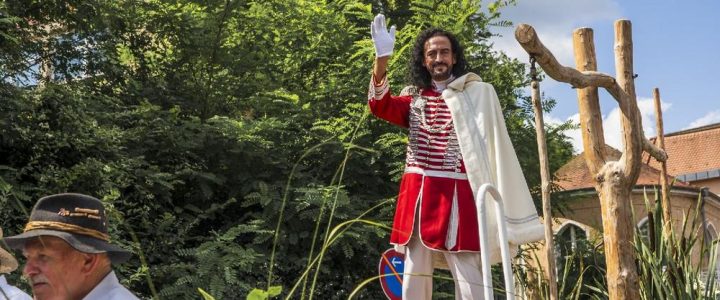 Rakoczy-Fest (Unterhaltung / Freizeit | Bad Kissingen)
