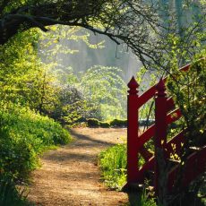 Welttag der Gartentherapie in Dennenlohe (Networking | Unterschwaningen)