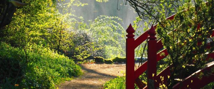 Welttag der Gartentherapie in Dennenlohe (Networking | Unterschwaningen)