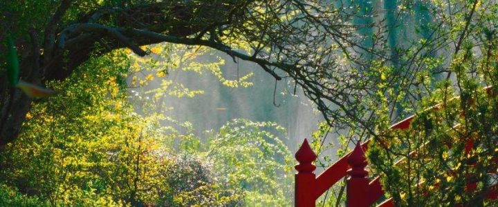 Muttertag im Schlosspark Dennenlohe (Unterhaltung / Freizeit | Unterschwaningen)