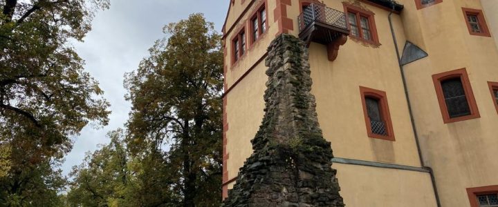 Naturpark-Markt Durlach (Unterhaltung / Freizeit | Karlsruhe)