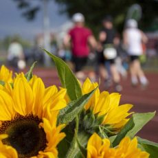 12. Laufend gegen Krebs in Chemnitz (Unterhaltung / Freizeit | Chemnitz) 12. Laufend gegen Krebs in Chemnitz (Unterhaltung / Freizeit | Chemnitz)