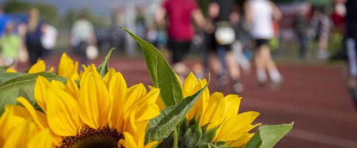 12. Laufend gegen Krebs in Chemnitz (Unterhaltung / Freizeit | Chemnitz)