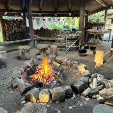 7. Netzwerktreffen der Deutschen Akademie für Waldbaden & Gesundheit im Hainich in Weberstedt (Networking | Weberstedt)
