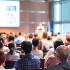 Maßgeschneidertes Projektmanagementhandbuch: Der PMH-Express (Seminar | Online)