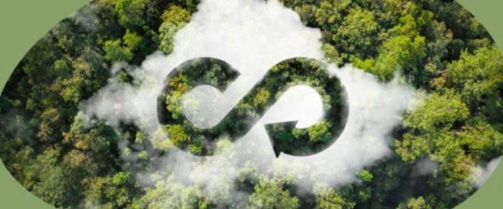 Bioökonomie und nachhaltige Produkte im Wandel der Zeit (Vortrag | Erlenbach am Main)
