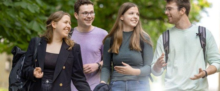 Einblick in die internationalen Wirtschaftsstudiengänge (Bachelor) (Seminar | Online)
