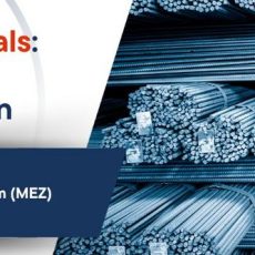 Thermal Characterization of Building Materials (Webinar | Online)