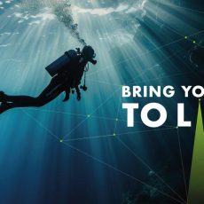 Data Intelligence Day 2024 (Seminar | Zürich)