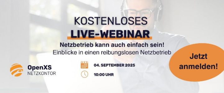 Netzbetrieb kann auch einfach sein! (Webinar | Online)