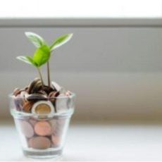 Gründungstoolbox: Startup-Finanzierung & -Förderung (Vortrag | Online)