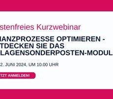 💡 Finanzprozesse optimieren – Entdecken Sie das Anlagensonderposten-Modul 🔍 (Webinar | Online)