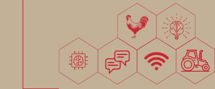 Vom Stall zur Cloud – Digitalisierung und KI in der Geflügelhaltung (Schulung | Online) Vom Stall zur Cloud – Digitalisierung und KI in der Geflügelhaltung (Schulung | Online)