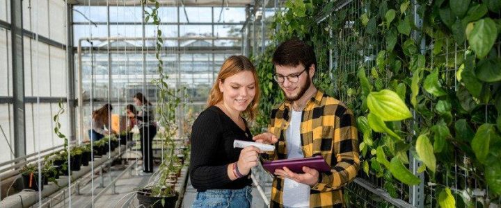 Infoveranstaltung zum berufsbegleitenden Studiengang Pflanzentechnologie in der Agrarwirtschaft (Schulung | Online) Infoveranstaltung zum berufsbegleitenden Studiengang Pflanzentechnologie in der Agrarwirtschaft (Schulung | Online)