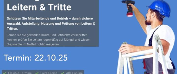 Befähigte Person Leitern & Tritte (Schulung | Online)