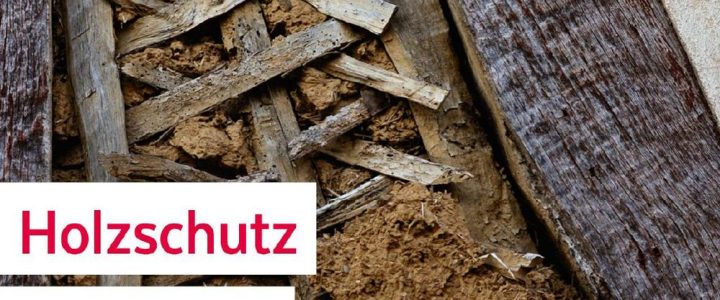 29. EIPOS-Sachverständigentag Holzschutz (Kongress | Dresden)