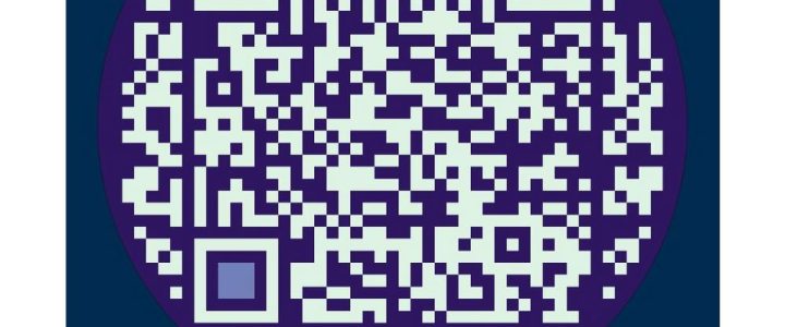 Einladung an Entscheider: So nutzen Sie Ihre Werbebudgets 2025 smarter (Webinar | Online)