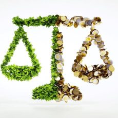 Mit Tacton CPQ den ökologischen Fußabdruck optimieren (Webinar | Online)