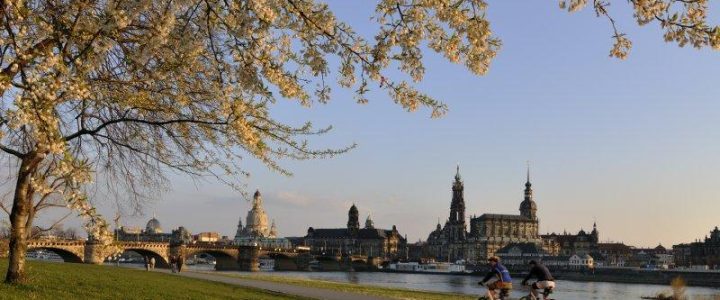 31. Interdisziplinäres Allergiesymposium (Konferenz | Dresden)