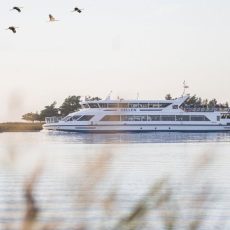Große und kleine Kranichfahrten 2025 (Unterhaltung / Freizeit | Stralsund)