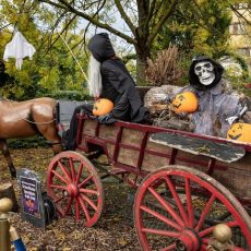 Gänsehaut beim Kids-Halloween im Wunderland Kalkar (Unterhaltung / Freizeit | Kalkar)